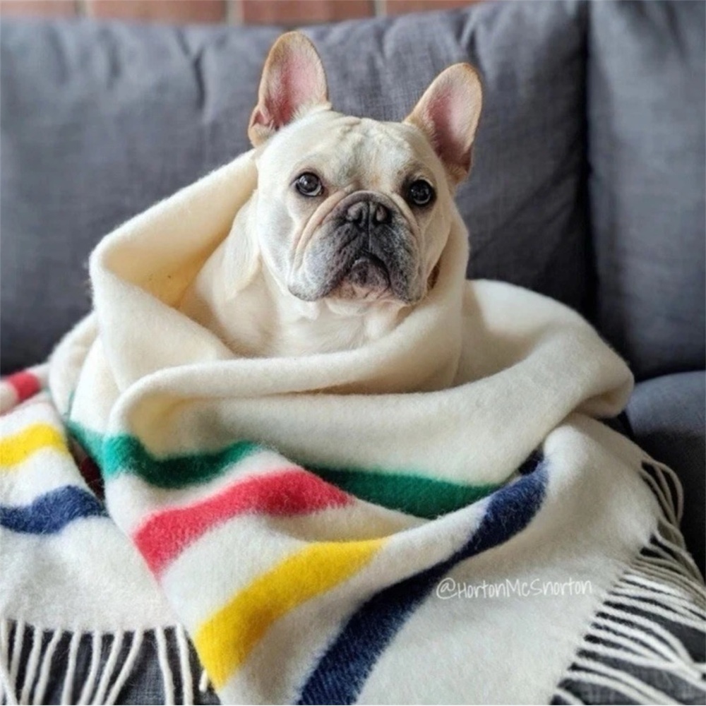 Hudson’s Bay Company HBC Stripes Caribou Wool Throw Blanket